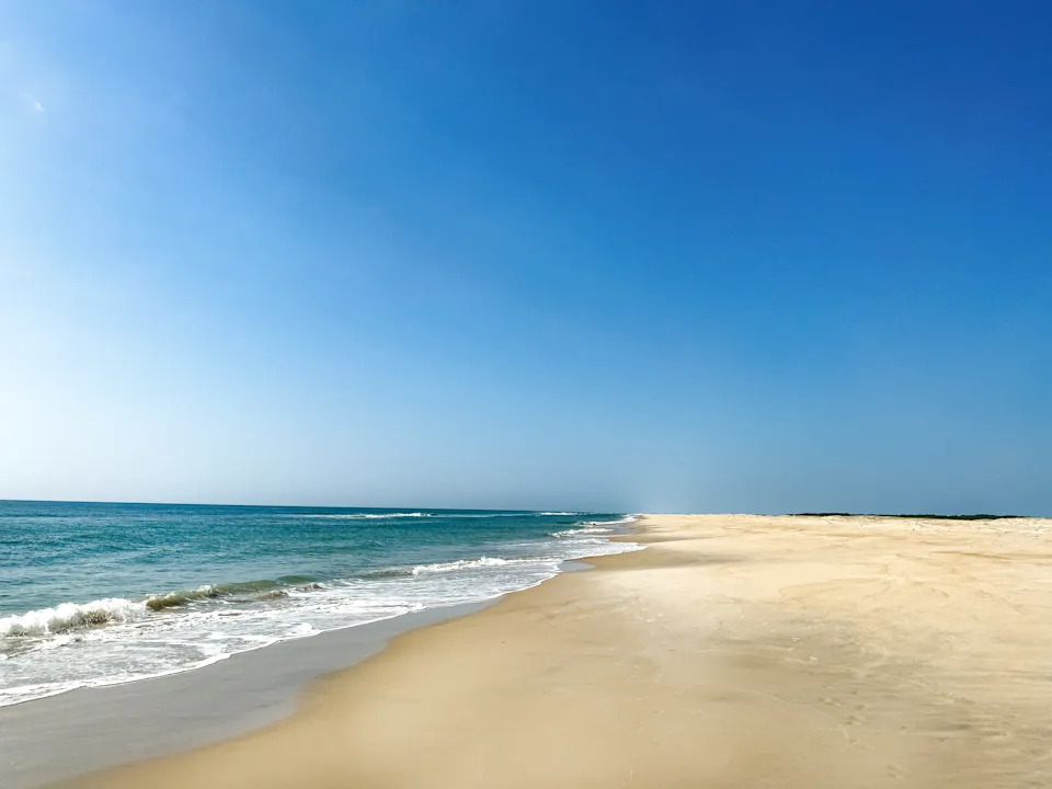 Assateague Island's Virginia side offers a wilder beach setting, with Atlantic shoreline, protected habitat, and a chance to spot the island's famous wild ponies.