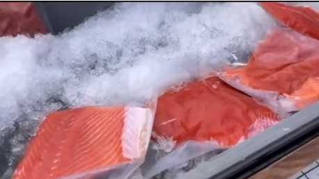 California king salmon returns to San Francisco markets after 3-year shutdown