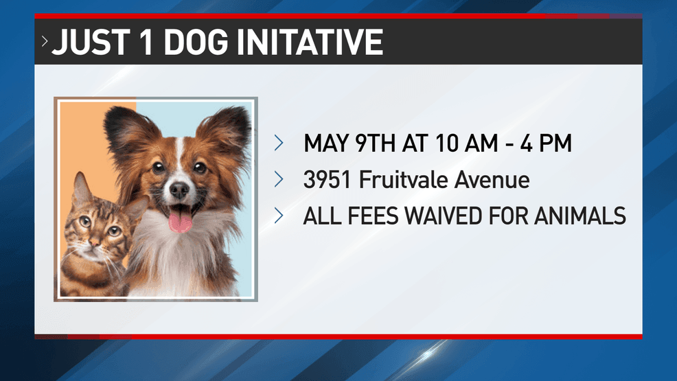 Kern County Animal Services "Just One Dog" (KBAK/KBFX)