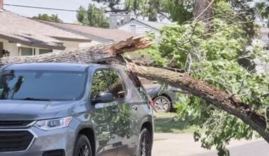 Sacramento-area crews respond to fires, downed trees amid high winds