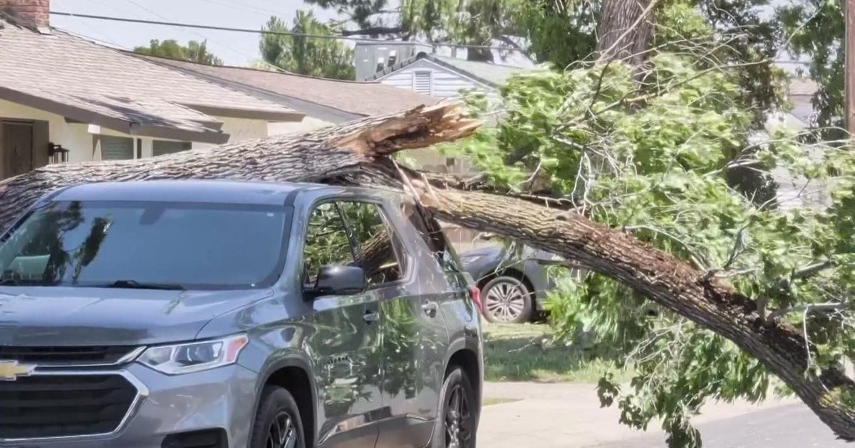 Sacramento-area crews respond to fires, downed trees amid high winds
