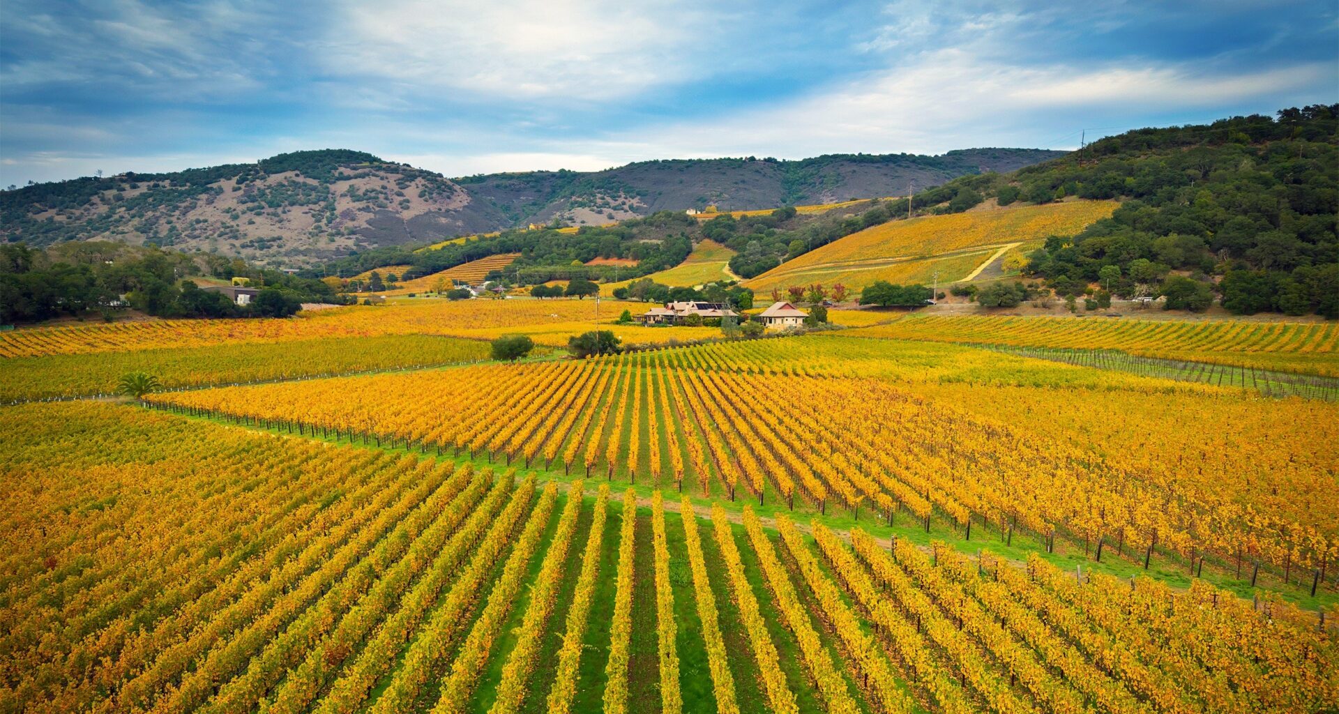 The Ultrarich Are Ghosting San Francisco for Napa Valley's Luxury Mansions