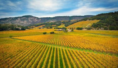 The Ultrarich Are Ghosting San Francisco for Napa Valley's Luxury Mansions
