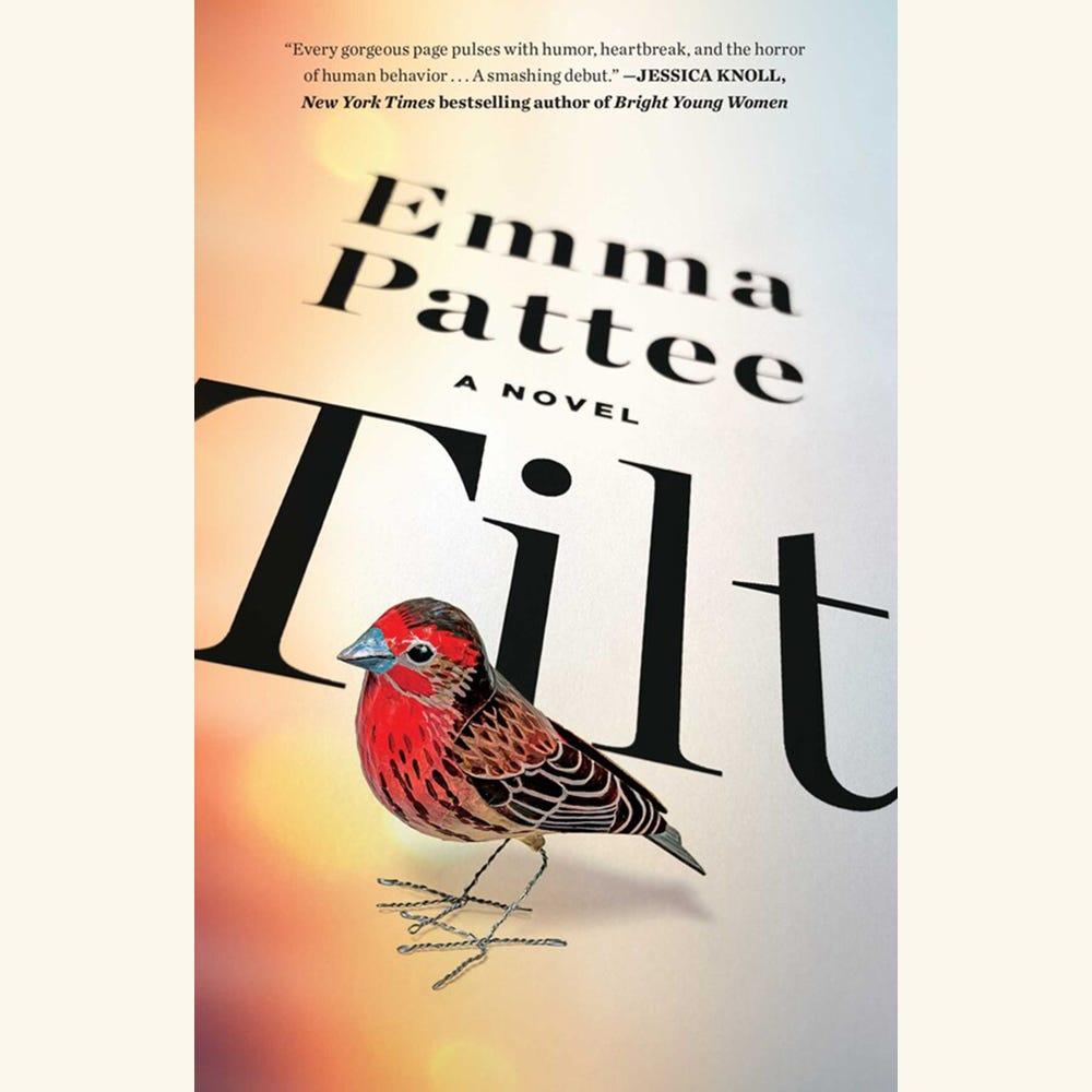 tilt by emma pattee