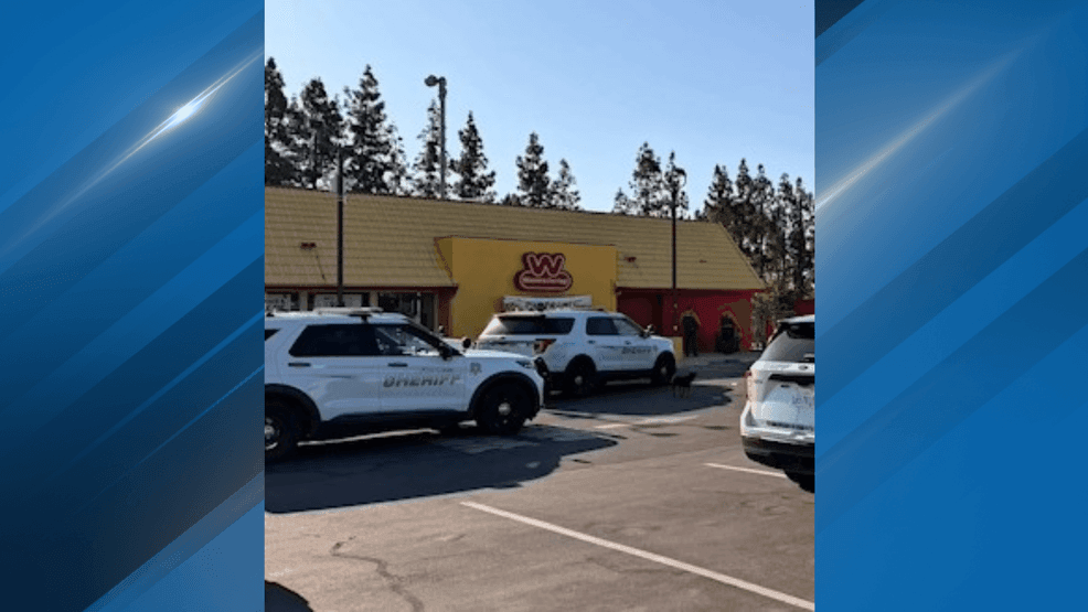 Seven people were arrested and six dogs were removed by animal control after a joint operation to remove homeless encampments in Oildale. PHOTO: KCSO