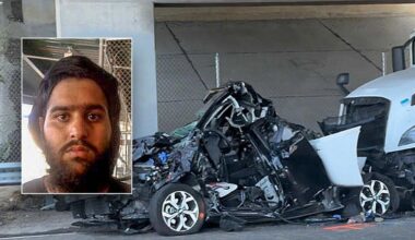 Illegal immigrant truck driver arrested after fatal crash near Lodi, CA