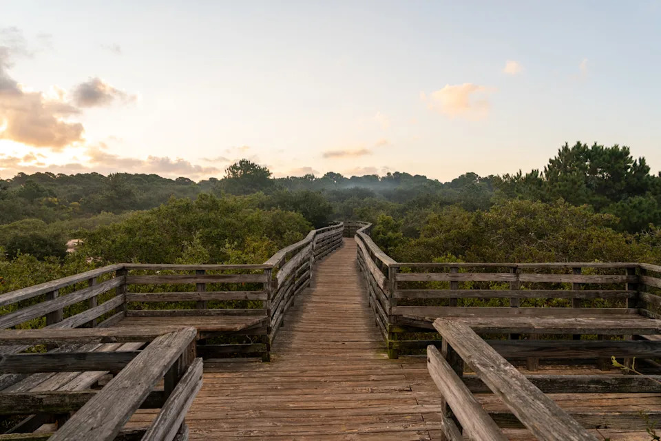 A wooden boardwalk at First Landing State Park, where beach time can be paired with trails, marsh views, and a break from the busy oceanfront.