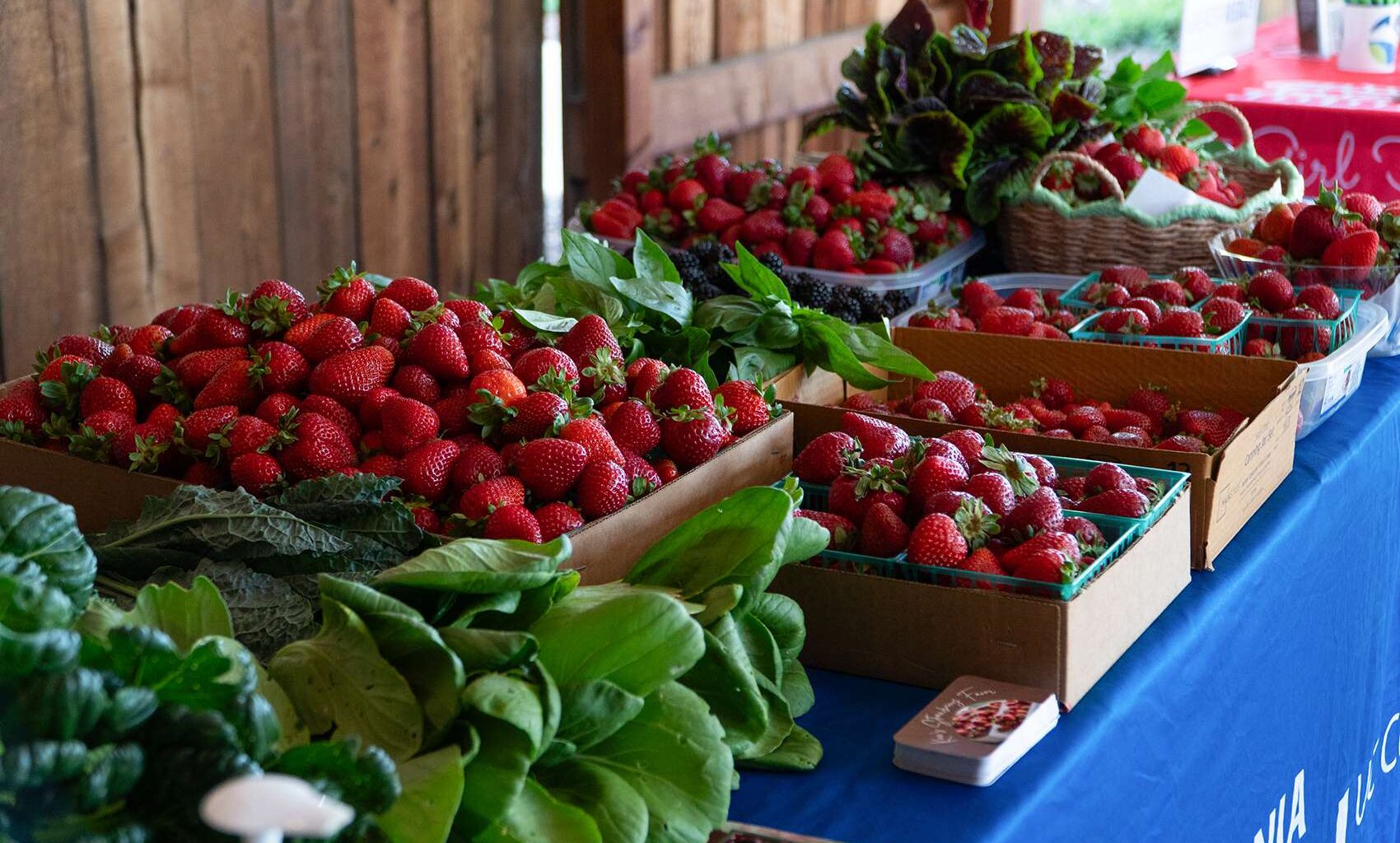 Fruit Trail season blooms in Fresno County