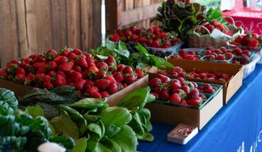 Fruit Trail season blooms in Fresno County