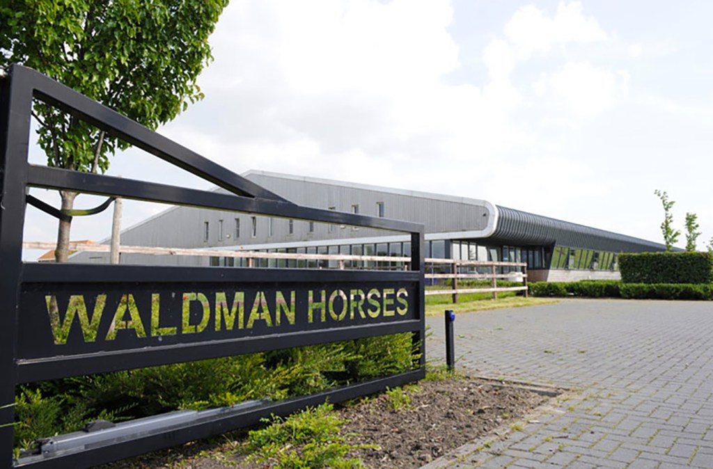 sign for waldman horses
