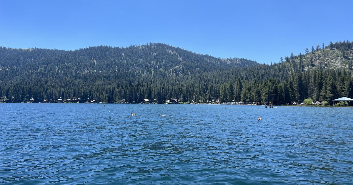 Man missing after jumping into Donner Lake over Memorial Day weekend