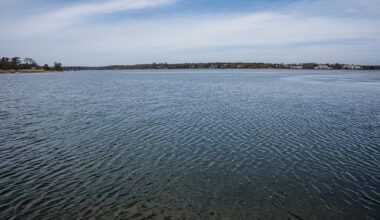 More than 80 Long Island beaches under swimming advisories