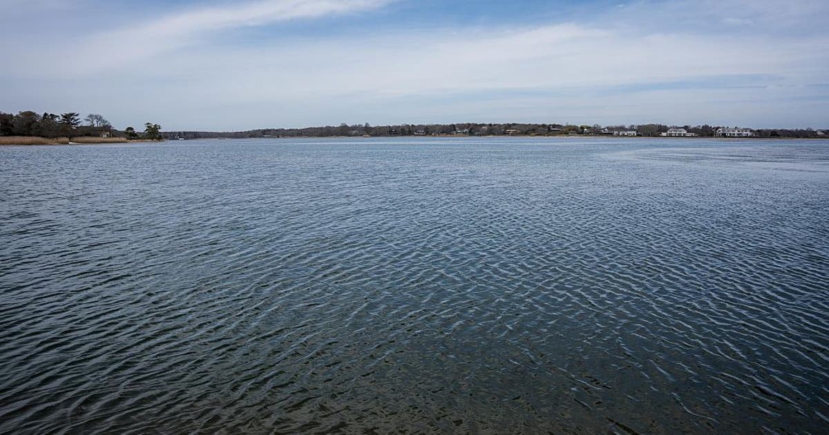 More than 80 Long Island beaches under swimming advisories