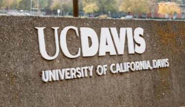 Bear sighting reported at UC Davis campus