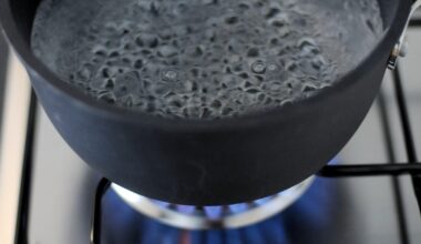 Mountain View plans to keep Cuesta Park boil water advisory in effect through the week