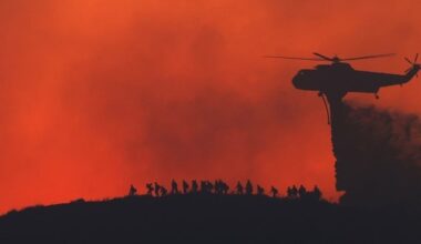 Patch News