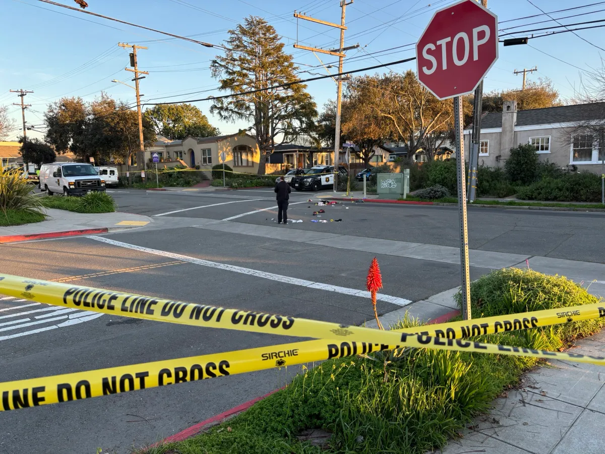 Delivery driver off the hook for fatally stabbing woman during three-way knife fight over stolen van