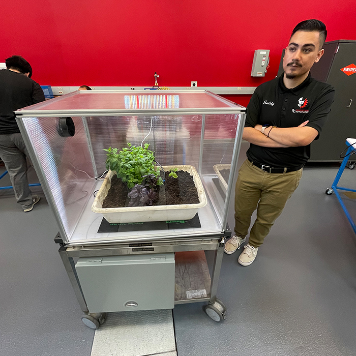 student standing near an agricultural project - a clear box with a green plan in soil
