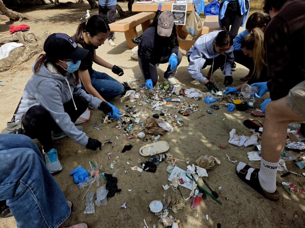 Volunteers under the guidance of the Sierra Club Seal Society pick up trash in La Jolla on April 25. (Sierra Club Seal Society)