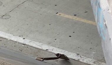 Man crushed to death after digging under Santa Ana bridge