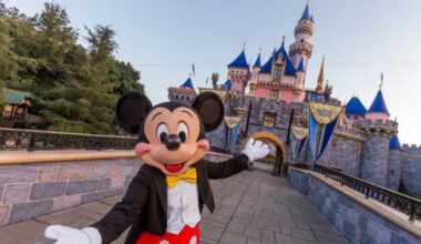 Would you want a California Disneyland-themed license plate?