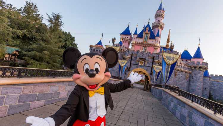 Would you want a California Disneyland-themed license plate?