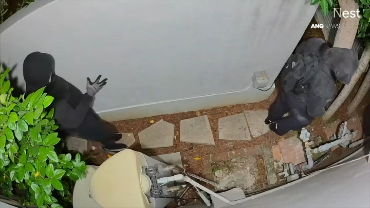 Prowlers caught on camera skulking between homes in Mid-Wilshire – NBC Los Angeles