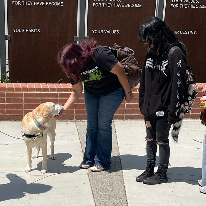 two young women looking at a dog, one is petting the dog