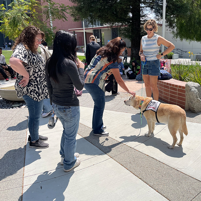 woman standing and petting one of the therapy dogs
