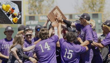 Ducks Provide Inspiration for High School Baseball Team in Northern Nevada