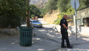 Man dies after falling on Mt. Wilson Trail, LASD says – NBC Los Angeles