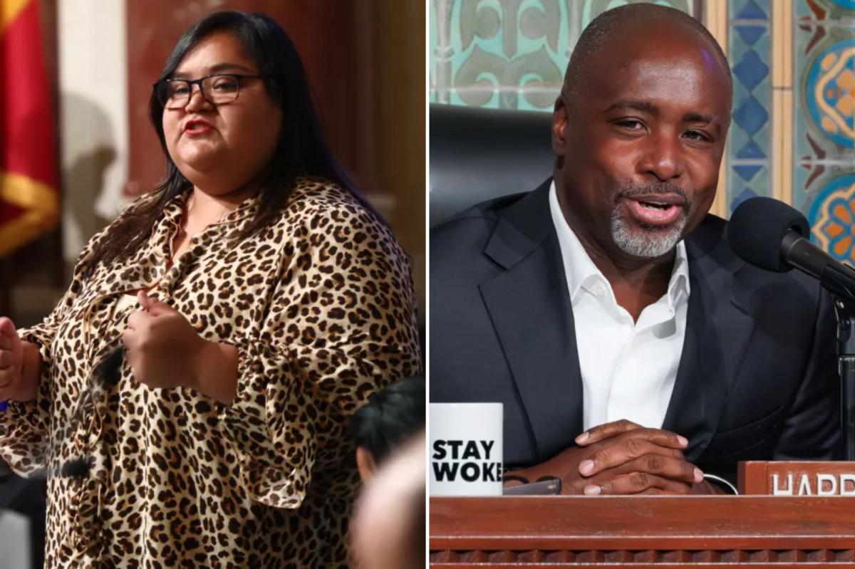 LA City Council sides with criminals over cops