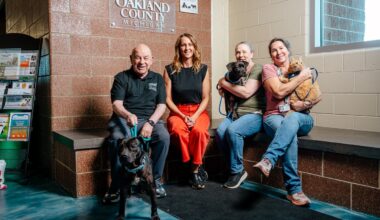 Oakland County Animal Shelter expands efforts to board pets for people experiencing homelessness – Metromode