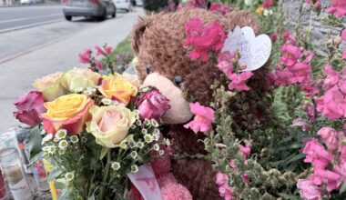 8-year-old boy killed in afternoon crash near North Long Beach park • Long Beach Post News