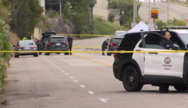 1-year-old child, man killed in Playa del Rey hit-and-run – NBC Los Angeles