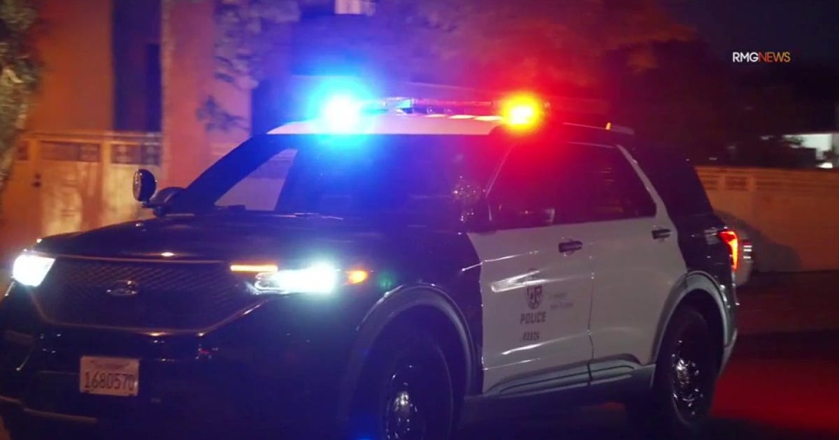 LAPD arrests serial burglary suspect linked to 25 thefts across LA