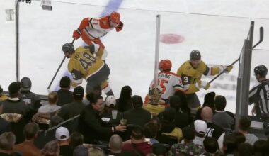 McNabb of Golden Knights suspended 1 game for interference
