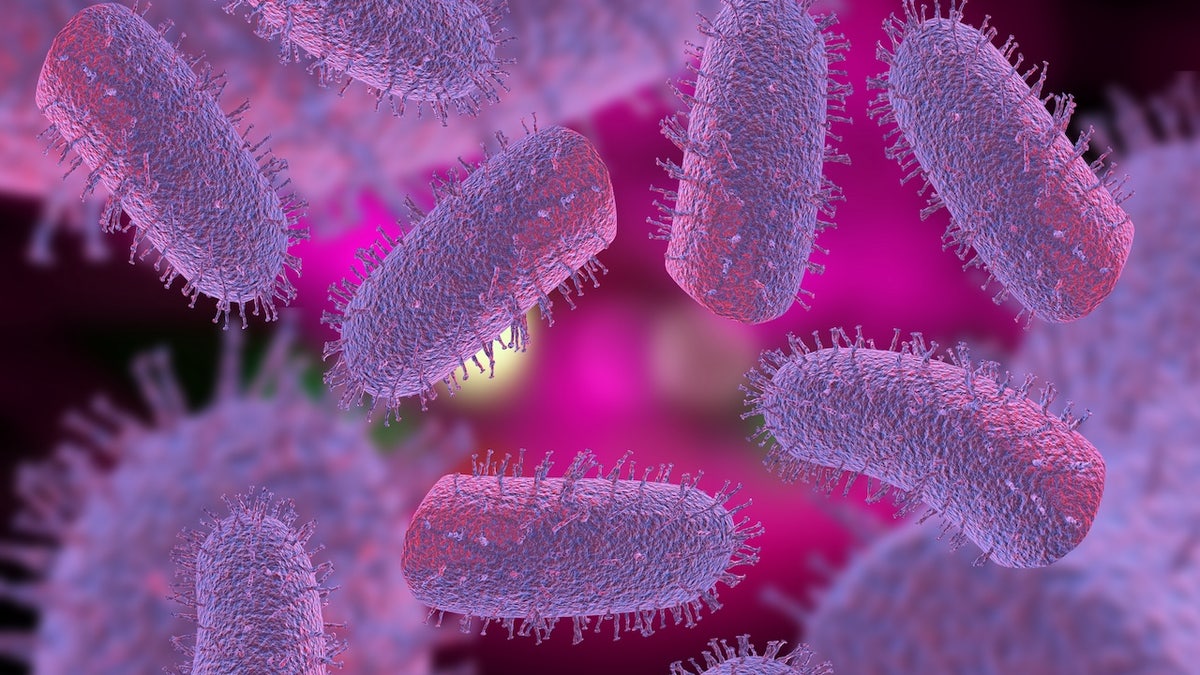 Pink rabies virus microscopic cells on pink background