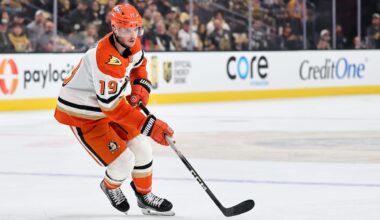Terry to have hip surgery, could miss start of next season for Ducks