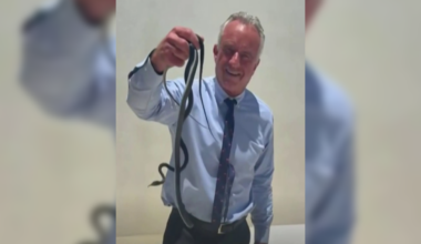 RFK Jr. snatches snakes in viral video – NBC 7 San Diego