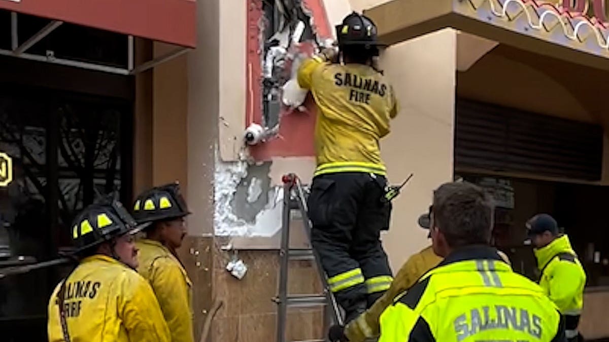 Firefighters standing near ladder
