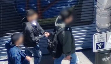 Police arrest San Francisco Chinatown pickpocket crew suspects