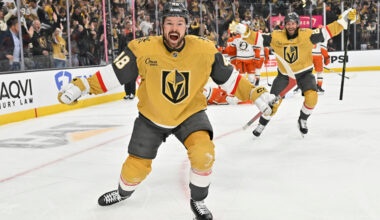 Tomas Hertl of the Las Vegas Golden Knights celebrates the game winning goal in Game 5 of the NHL Western Conference semifinals.