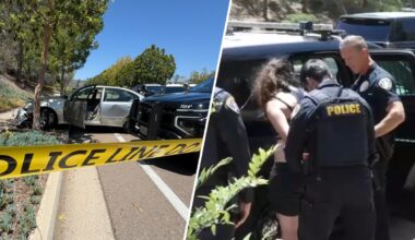 San Diego police fire at stolen Lexus during chase, SDSO says – NBC 7 San Diego
