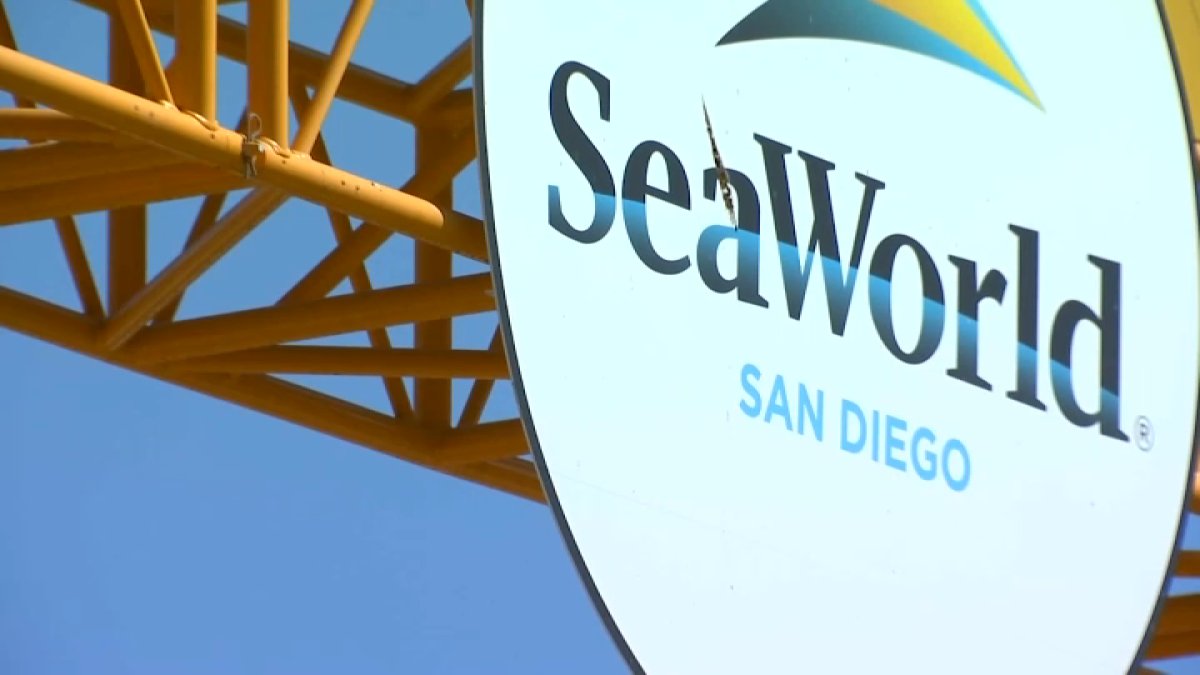 SeaWorld’s revamped Shark Encounter opens, as does dance floor for ‘deep sea disco’ – NBC 7 San Diego