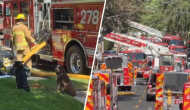 Fire damages two-story Sherman Oaks apartment building – NBC Los Angeles