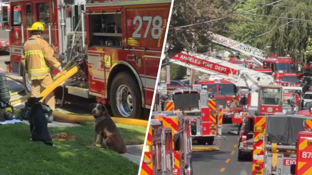 Fire damages two-story Sherman Oaks apartment building – NBC Los Angeles