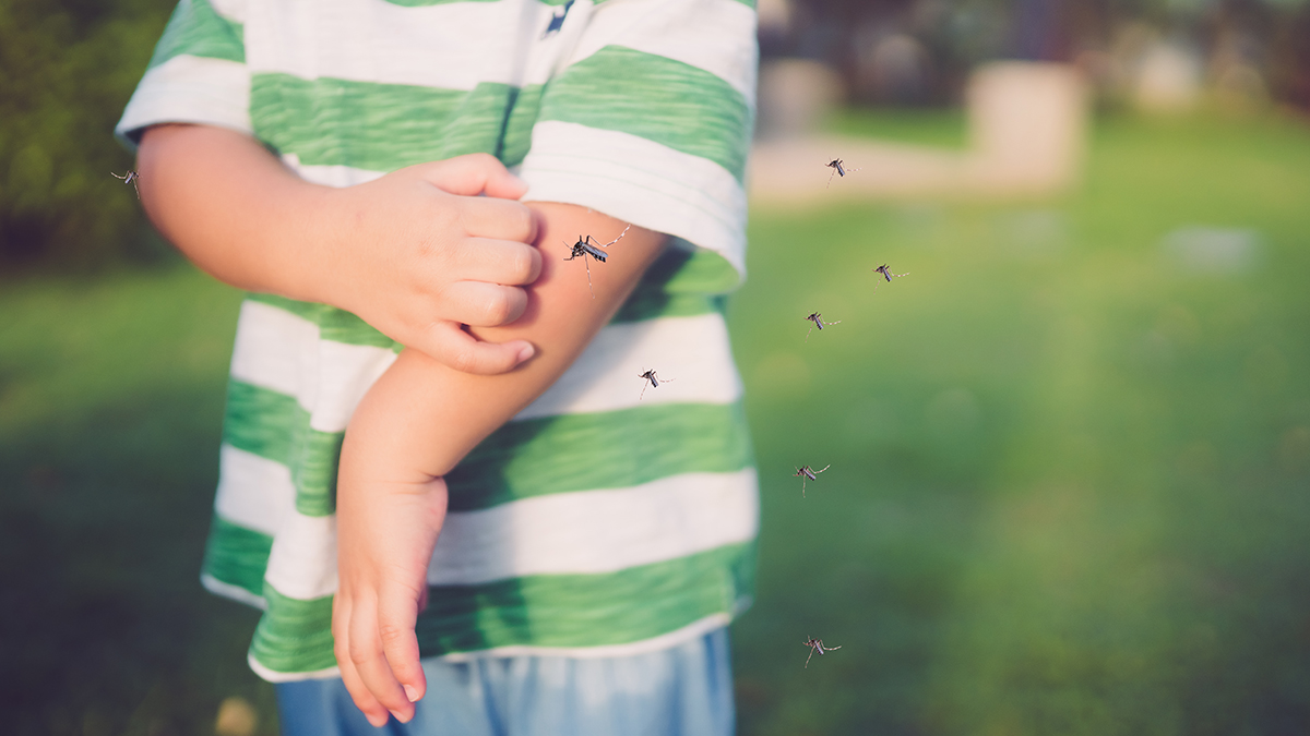 West Nile virus detected in positive mosquito sample in Riverside County – NBC Los Angeles