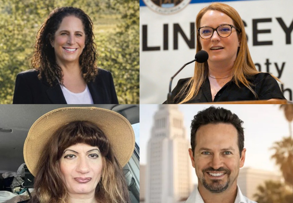LA County Board of Supervisors’ District 3 race issues: Board reform, homeless, fire response – Daily News