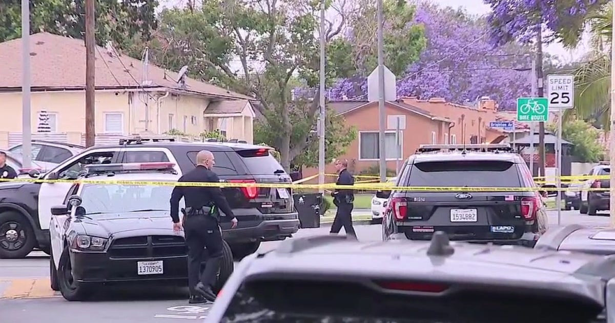 Alleged knife-wielding suspect shot by police in South LA